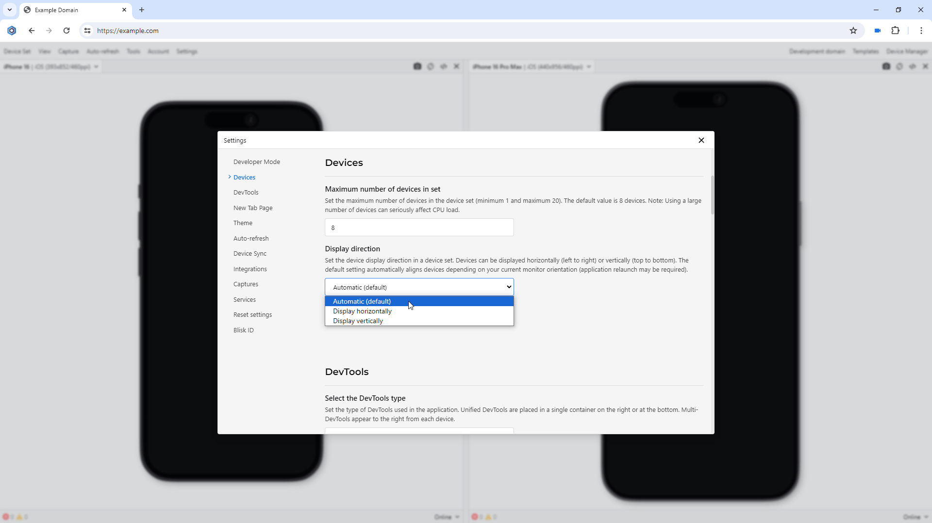 Orientation settings in Blisk v.25